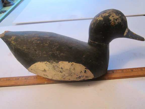 Duck decoy