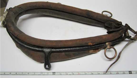 Primitive horse or pony collar