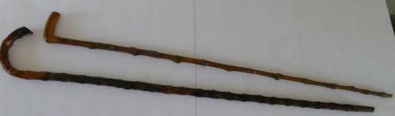 Pair of Knobby Walking Sticks